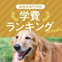 動物系専門学校　学費ランキング